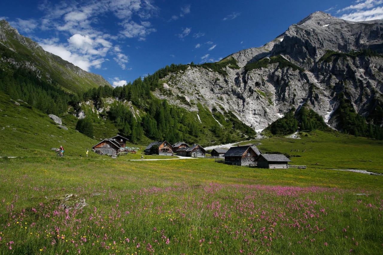 Apartments Haufhof , Haus Im Ennstal Bei Schladming Kültér fotó