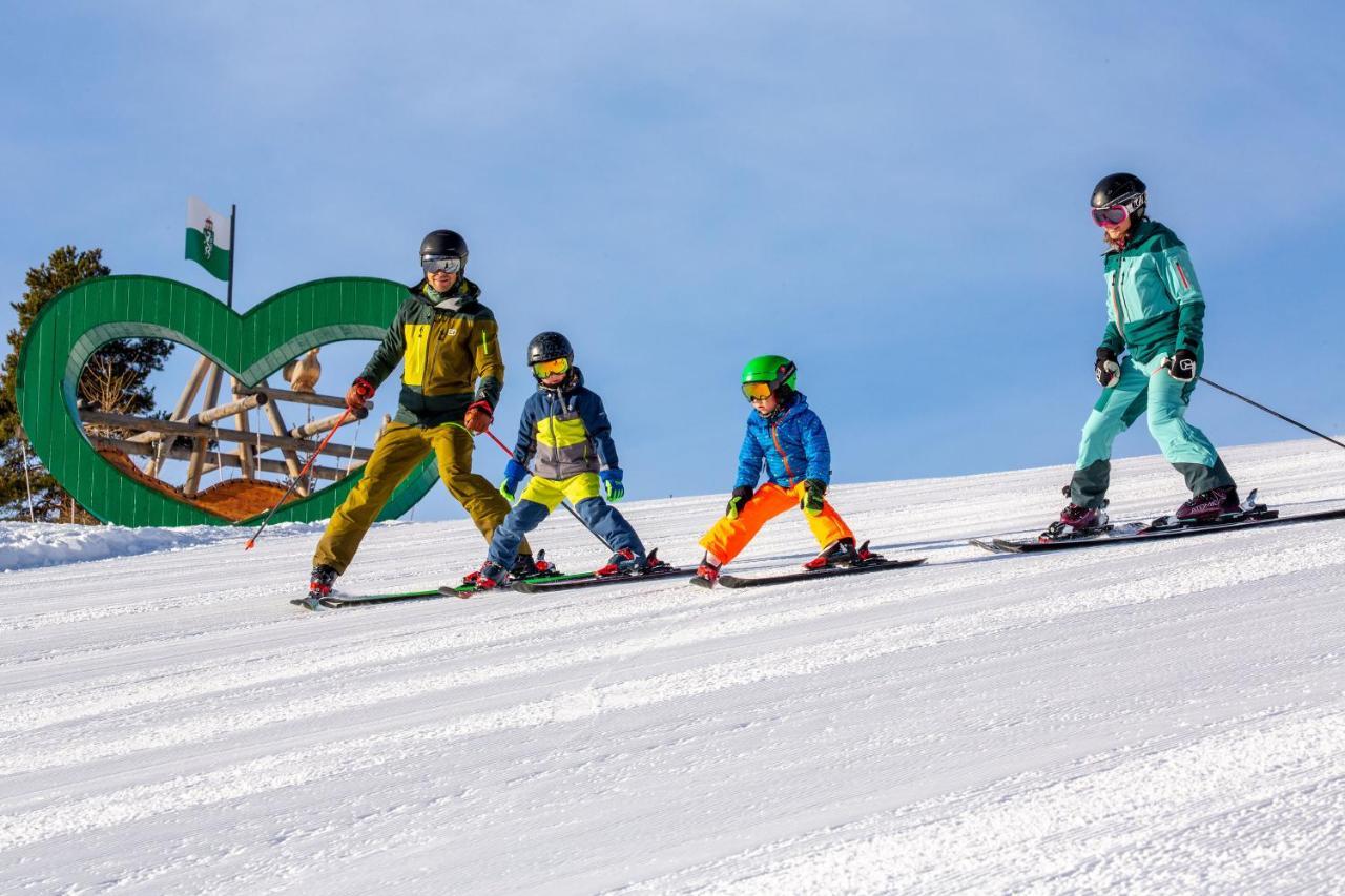 Apartments Haufhof , Haus Im Ennstal Bei Schladming Kültér fotó